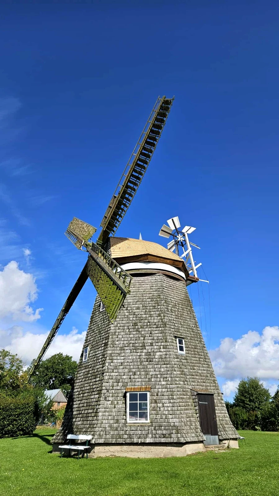 Windmühle Steinhagen nach der Mühlenkopfsanierung